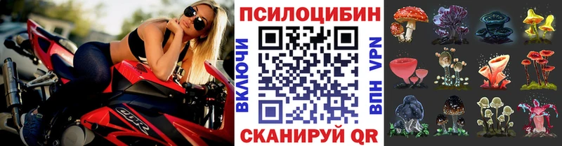 Псилоцибиновые грибы Psilocybe  Купить закладки  Азов 